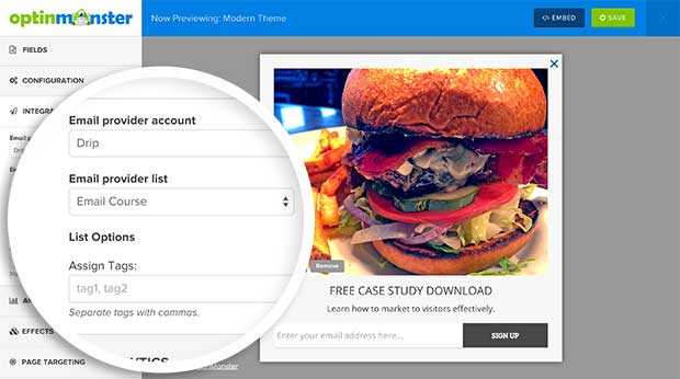 Drip Lists and Tags - OptinMonster Drip Lists and Tags