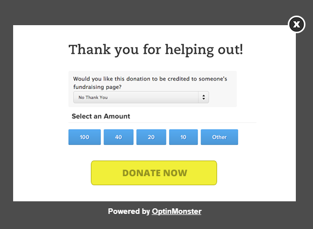 Donation Form Popup