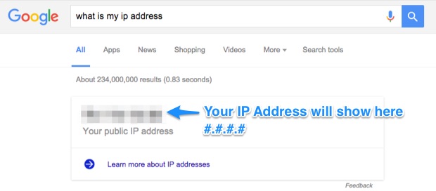 google my ip