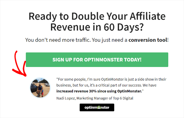 Review with OptinMonster campaign