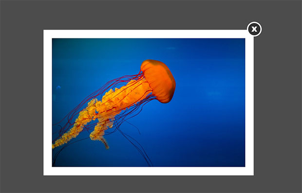 Lightbox Canvas Padding