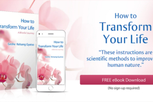 How to Transform Your Life Fullscreen Optin