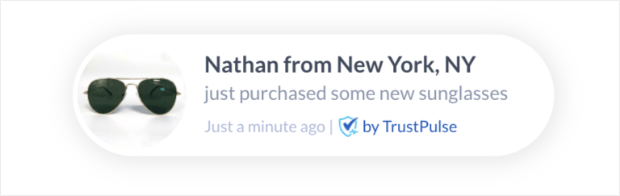 social proof notification from trustpulse