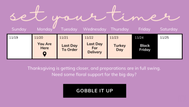 Email says "Set Your Timer" and then has a week-long calendar that shows the final day to order to get delivery before Thanksgiving". Below that, the copy says "Thanksgiving is getting closer, and preparations arein full swing. Need some floral support for the big day?" A large Call to action button says "Gobble It Up"