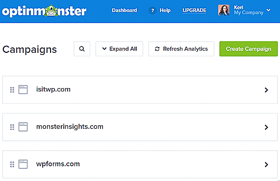 - OptinMonster expand and collapse your optinmonster campaigns