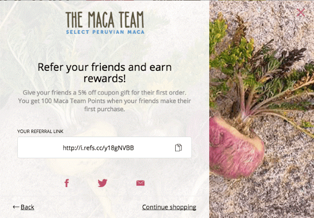 sales promotion examples - maca team