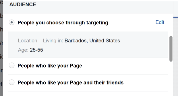 fb choose audience