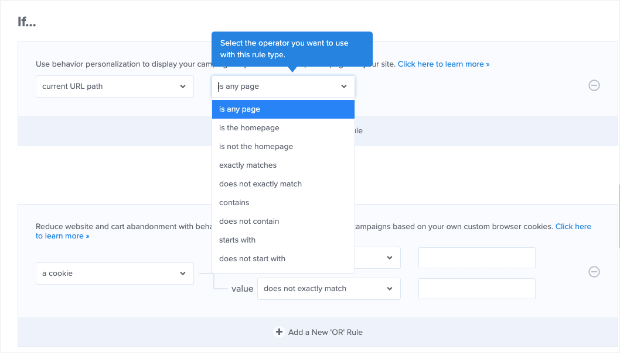 OptinMonster page level targeting