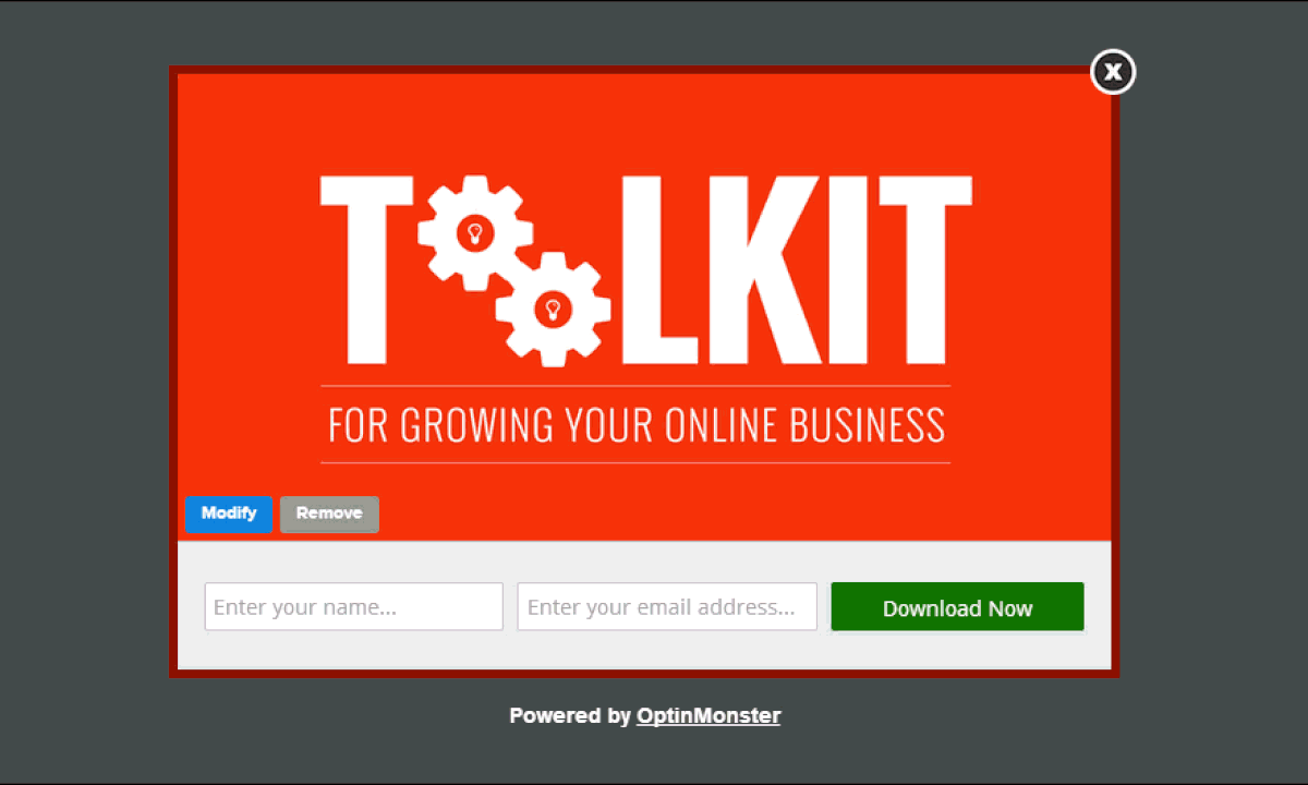 web design principles_animated gi - OptinMonster animated popup