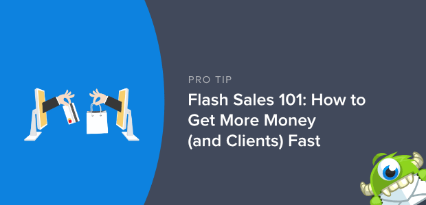 What are Flash Sales in ecommerce?