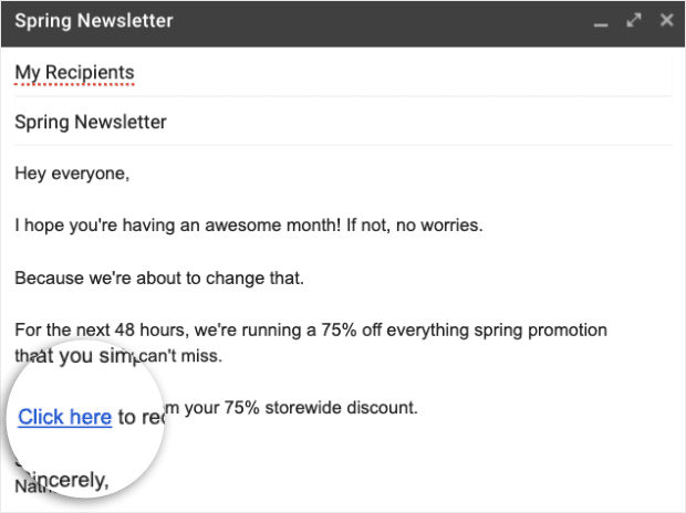 Newsletter Campaign Example min