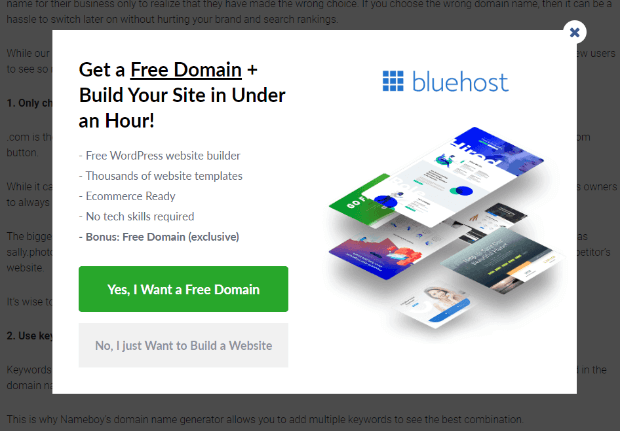 Bluehost Yes_Yes campaign