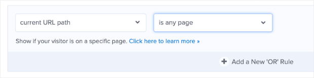 Current Url Path is Any Page