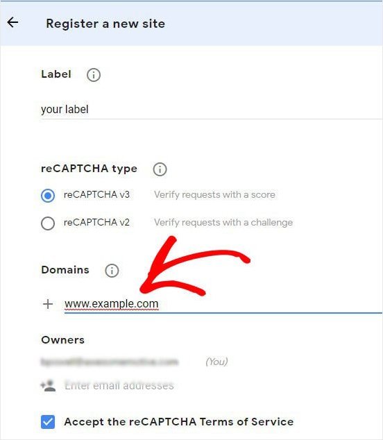 Google recaptcha domain name - OptinMonster Google recaptcha domain name