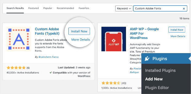 Instal Custom Adobe Fonts-min - OptinMonster Instal Custom Adobe Fonts min
