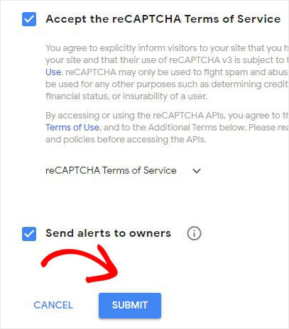 Submit Google recaptcha - OptinMonster Submit Google recaptcha