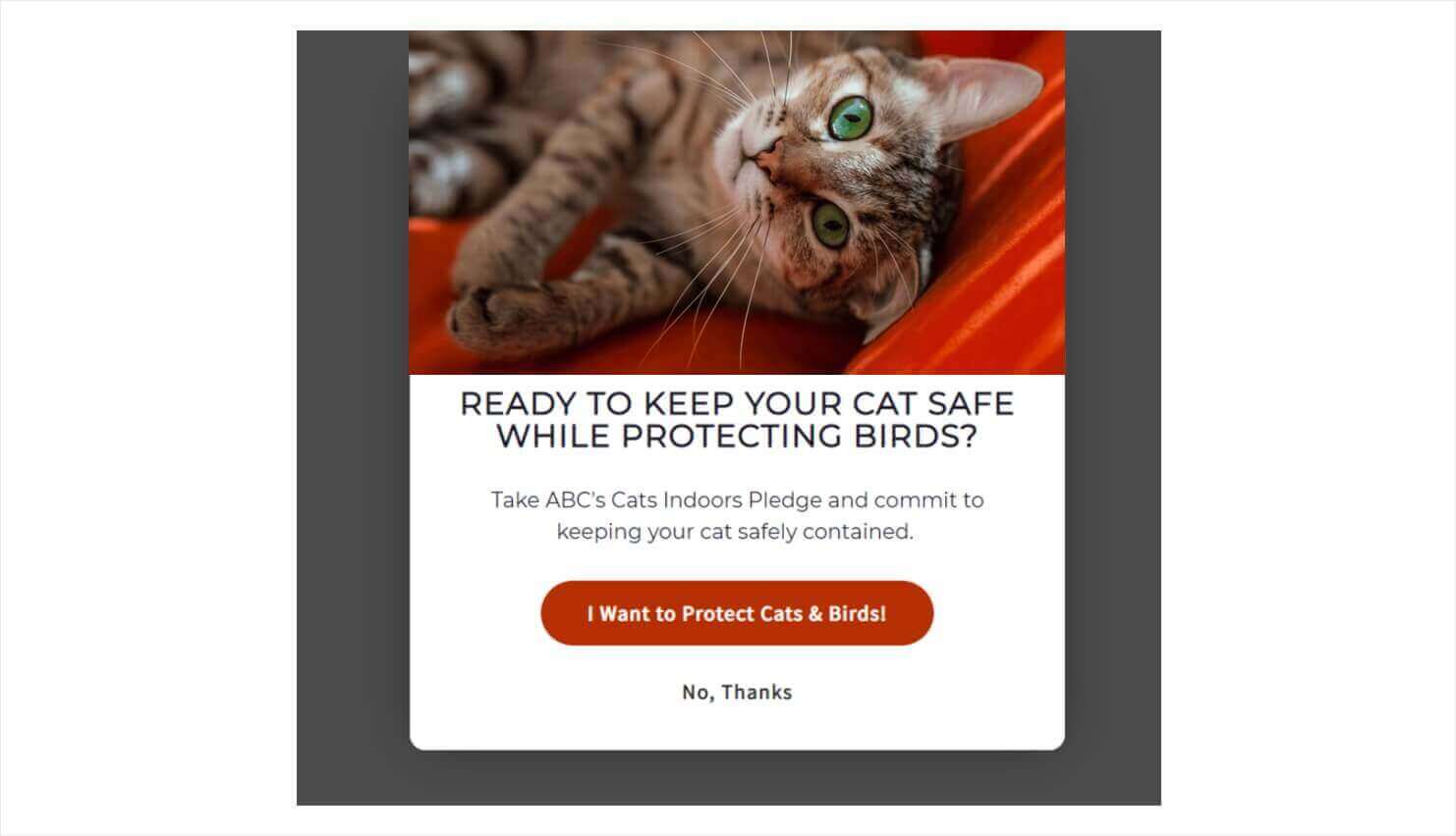 American Bird Conservancy popup that says "Ready to keep your cat safe while protecting birds? Take ABC's Cats Indoors Pledge and commit to keeping your cat safely contained." Bit CTA button says "I want to protect Cats & Birds!" Below, linked text reads "No, thanks"