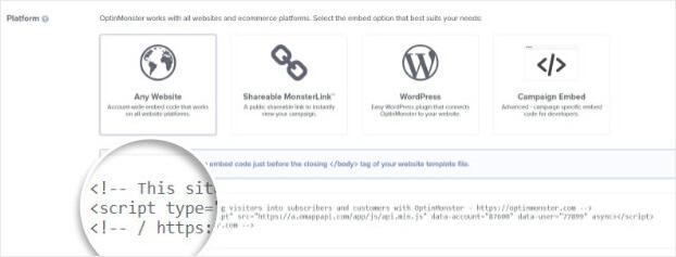 Copy OptinMonster Embed code
