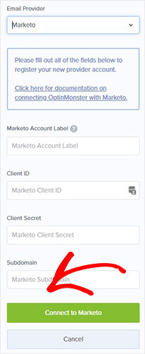 Marketo account details_