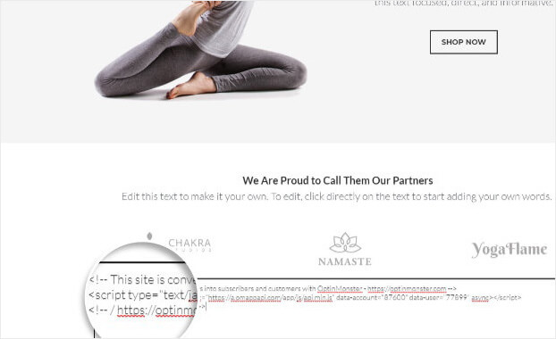 Paste embed code Weebly - OptinMonster