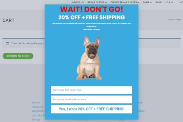 Exit popup free shipping