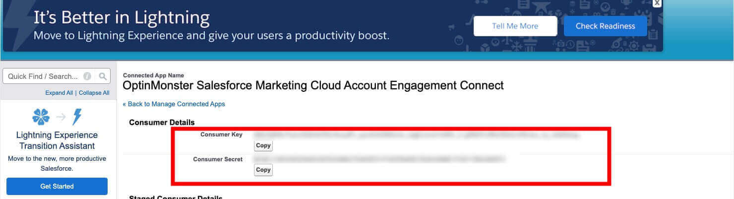 9-mcae-get-consumer-key - OptinMonster Copy the Consumer Key and Consumer Secret