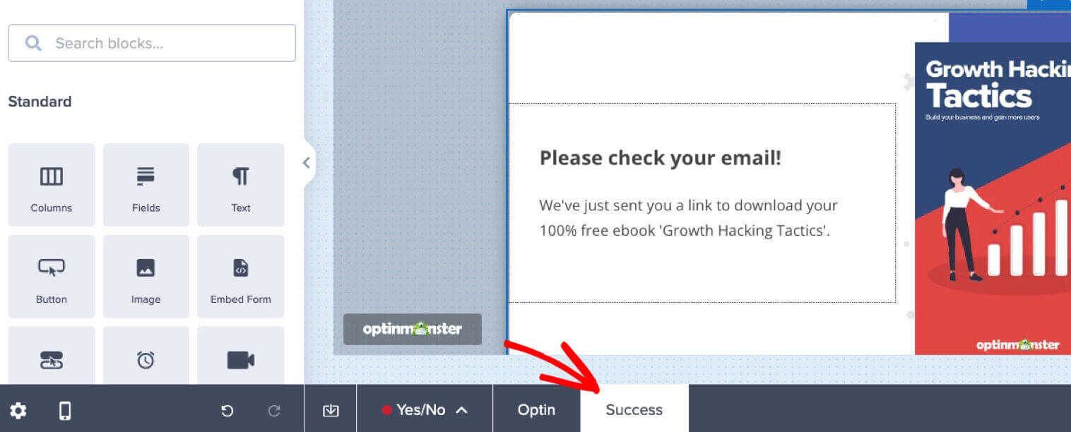 optinmonster-success-view - OptinMonster OptinMonster Success View