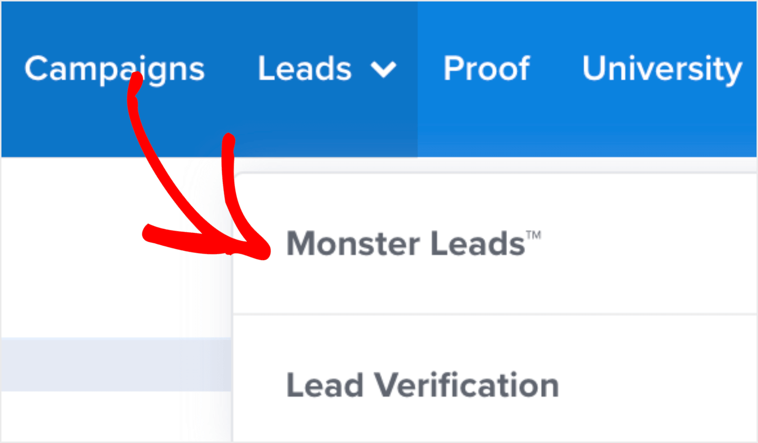 gravity_monster leads 1-min - OptinMonster gravity forms popup