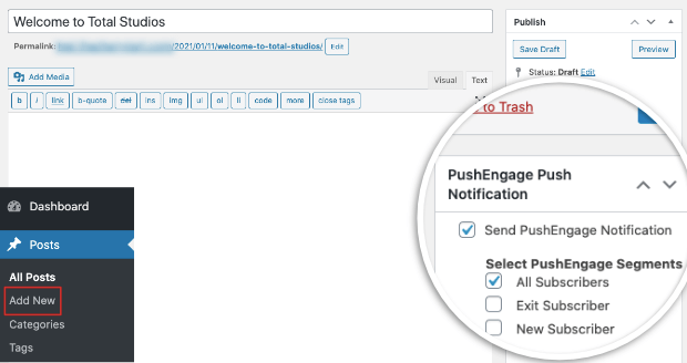 push engage block editor