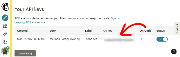 Copy api key in Mailchimp - OptinMonster Copy api key in Mailchimp