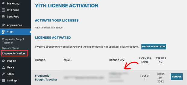 activate yith license