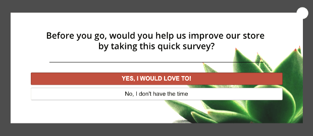 exit survey campaign example