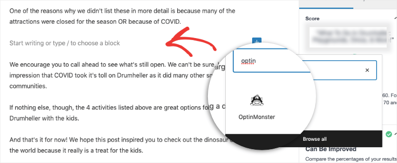 optinmonster in a gutenberg block - OptinMonster optinmonster in a gutenberg block