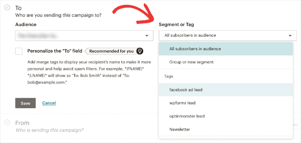 tags example in mailchimp