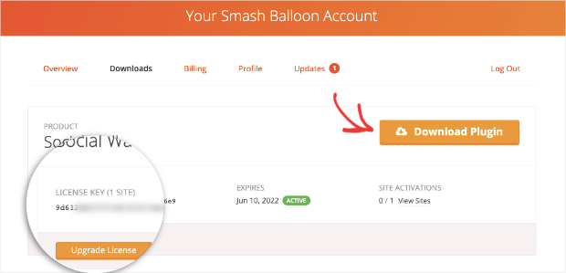 smash balloon download plugin