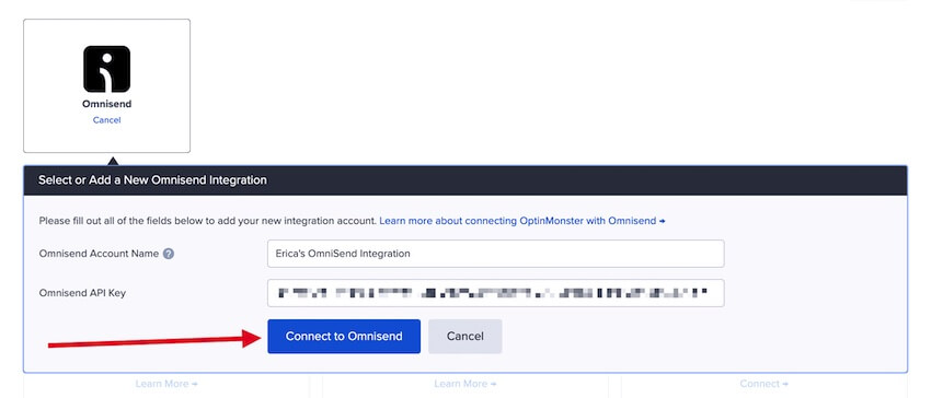 Enter your details for OmniSend and select the connect button.