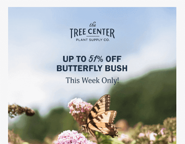 the tree center - promotional email example