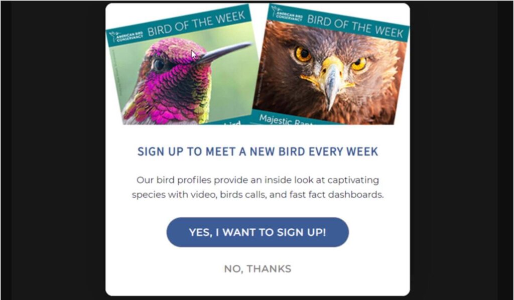 A website popup that shows 2 striking images of birds with the label "Bird of the Week." Heading says "Sign up to Meet a new bird every week." Paragraph text says, "Our bird profiles provide an inside look at captivating species with video, bird calls, and fast fact dashboards." Large button says "Yes, I want to sign up!" Smaller linked text says "No, Thanks."