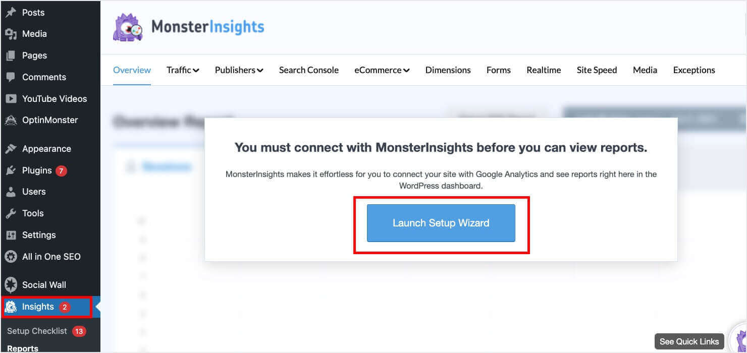 monsterinsights-setup-wizard - OptinMonster